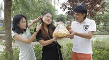老板摆摊强买强卖，谁料让徒弟学到精髓后，她立马后悔！