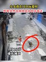 重庆：女童家门口玩耍时被野猴扑倒并拖走，邻居发现救下女童