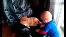 猫咪占了爸爸的椅子，小娃跑来理论，结果谁也不让，直接开打起来