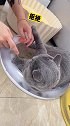 一只猫为什么一天到晚都想揍我呢？