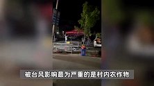 台风过境后的迈合村：全红婵海报处恢复打卡，农作物受损，周末依然人多