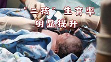我国二孩生育率明显提升：占新生人口50％ 2013年为30%