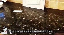 狗狗犯错，将它丢到雪地里反省，再次打开门时，主人直接崩溃了