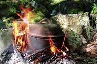 现采的蘑菇炖猪肉，野味也太鲜了！
