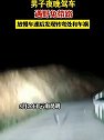 云南昆明：深夜偶遇野兔男子放慢车速避过车祸