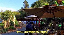 昆明市内经典一日游，昆明旅游景点攻略自由行，昆明必去十大景点