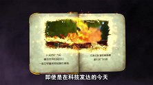 猪猪侠：猪猪侠想加入研究所，超人强看不起菜鸟，让他赶紧滚出去
