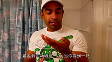 给鬣蜥带10000美元的钻石项链,真是土豪级的宠物,羡慕
