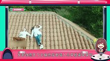 《泡芙小姐》恋爱体质张歆艺疯狂追爱牛郎系男孩王栎鑫