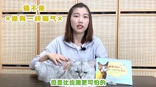 小猫咪不能像狗那样喘气！发现有这症状，带去医院检查才是正解！