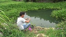 野钓：浓密的水葫芦下就是鱼窝，小伙两小时狂钓几斤，太过瘾了