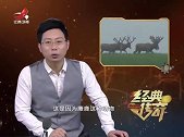 传奇：洞庭湖出现异兽，拍下视频，专家直言姜子牙坐骑“四不像”