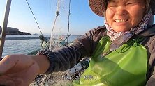泰叔带泰婶出海忙了十几个小时，看到收获傻眼了，还好泰婶没生气