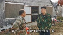 华强来猪场干活，常输看到不让干了，这是犯了啥错误？原因暖心了