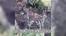 官方回应青海东峡镇山体移动：系山体滑坡，无伤亡