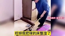 修狗的报复心太强名场面，动物很生气主人被胖揍，精神小狗生气了