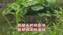 心地宽阔，快乐生活，岁岁都好，年年都新