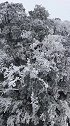 白雪皑皑的天门山鬼谷栈道，太漂亮了