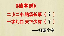 两个字谜：二小二小脑袋长草，一字九口天下少有，打两个字