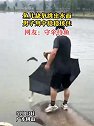 广东佛山：鱼儿缺氧跳出水面，男子用伞稳稳接住