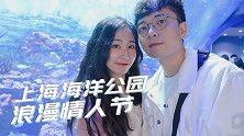 情人节游上海海洋公园，到底能有多浪漫？