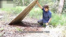 男子发现一条“石头”蛇 带回家后仔细观察 终于发现其身上秘密