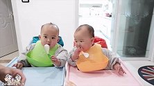 双胞胎萌娃专挑贵的吃，奶爸炒三文鱼，俩宝光盘行动，肉全吃光光