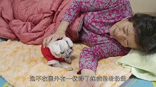 身患绝症的老奶奶，为照顾狗狗拒绝治疗，看完让人心酸不已