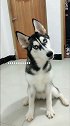 安琪拉：猜猜我在地铁里碰见了什么？拉k：让我猜猜看…………抖爱fun享
