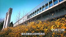 盘点中国九大头衔城市！国家的好政策，总是他们先享受！