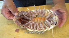 它把人类当作好朋友，人类却视它如美味佳肴，如今已吃到灭绝！