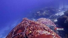 还在为买房买车发愁？其实这样的海边生活才是每人心中的世外桃源