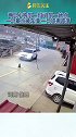 两只小狗同一地点，同一时间，一只差点被车撞，一只铁棚跌落。危险 萌宠
