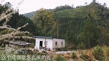 为何要说“鸡犬不宁”原来它们还有故事，镜头记录神奇的一幕！