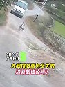 广西桂林：大鹅挑战面包车失败，这算鹅碰瓷吗？