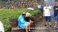 大熊猫是工作人员假扮的，又有实锤了！