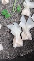 小金鱼馄饨