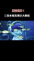 近日，三亚水底发现巨大萌娃 宛如童话世界！