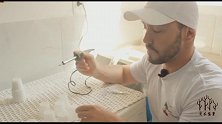 旧塑料杯不要乱丢，玩盆景时可以这样用，你肯定没有想到过