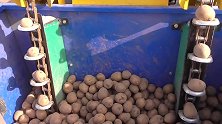 土豆播种机是如何把土豆种入土里的？