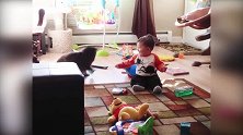 主人，你看不见我吧，你快来找我吧！