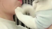 女主控诉猫咪种种让人脑瓜疼的罪行，猫咪一招制敌，女主闭嘴！