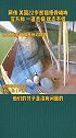 美国 网传美国大熊猫瘦骨嶙峋，状态不佳，行为刻板！官方回应：丫丫22岁了，一直生病，正在和美方沟通中。