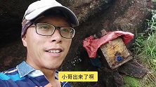 诱蜂首选位置之1（是哪里？），小哥再次用事实证明