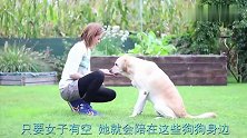 狗狗瘸腿，主人耐心教它如何恢复，不料当主人腿瘸后，画风就变了