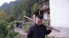 漫山遍野都是野蒜，挖一把回去做个豆豉回锅肉，下饭贼巴适