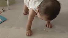 小宝宝终于会靠自己爬过来拿零食吃，妈妈都高兴坏了！