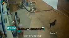 幸亏父亲眼疾手快，要不然孩子就要遭殃，拍下心惊胆战一幕！