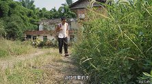 炝拌豇豆火辣辣的是太阳，而这道菜清凉！