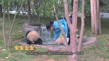 熊猫：告诉你不把玩具还朕，朕就一直摔，摔死你就摊上大事了